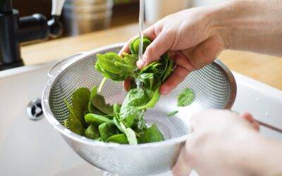 Top 7 Foods to Supercharge Your Immune System