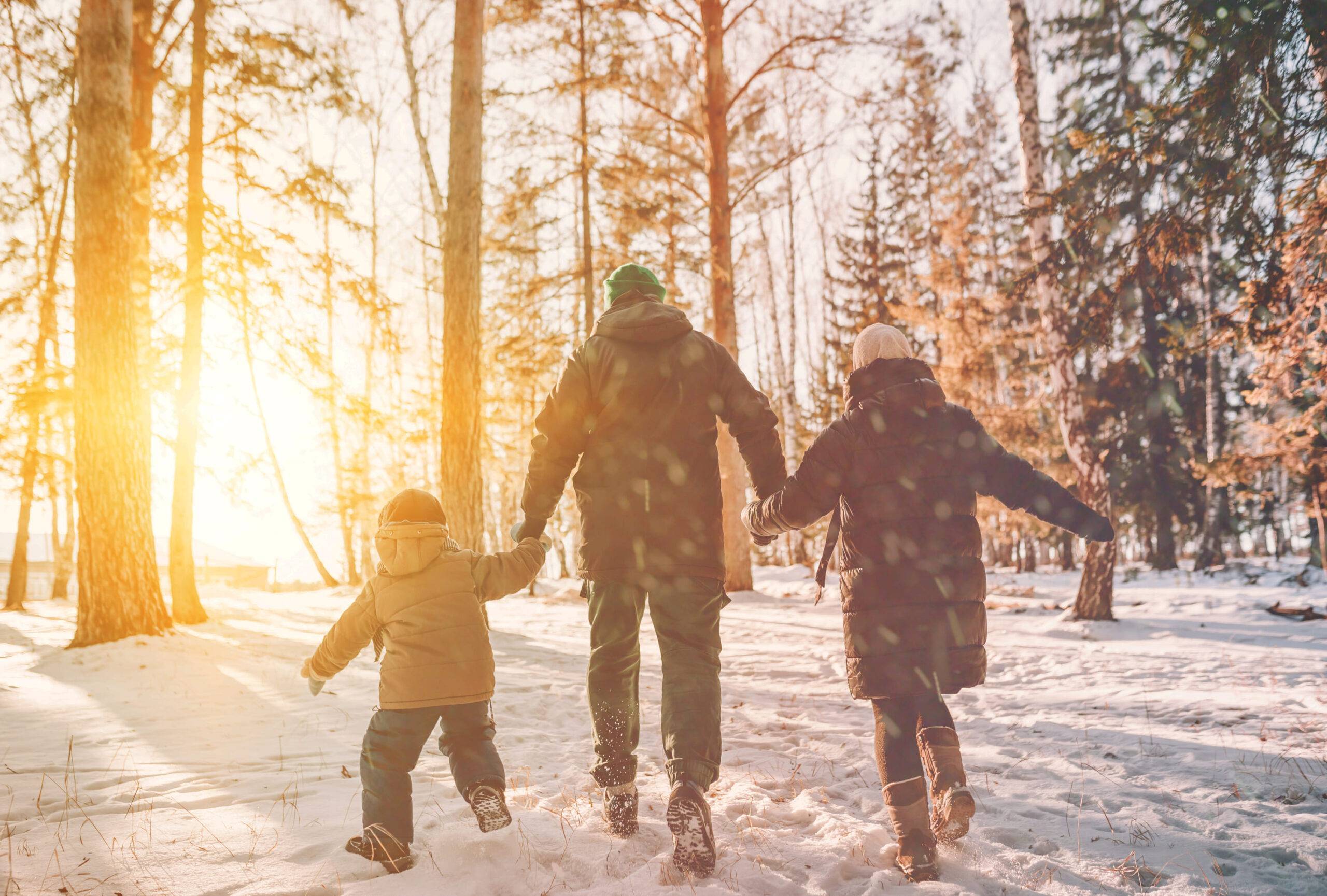 family walk in snow