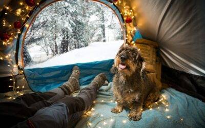 10 Powerful Coaching Tips to Stay Stress-Free This Holiday Season