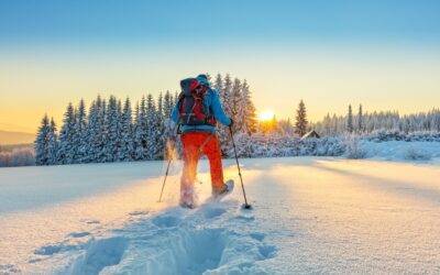 10 Essential Tips to Transform Your Wellness Routine This Winter